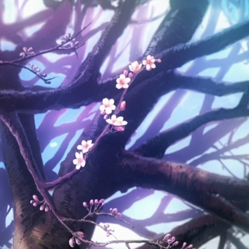 blooming