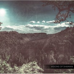 Visions Of Shaman