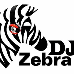 BAILE DO CHAPADÃO ANIVERSÁRIO DO ZEBRA E BC
