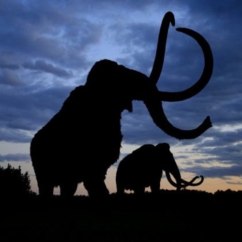 I Can't Be Vs Mammoth (JTDj Deep Electro Remix)