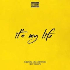 Эндшпиль - It S My Life (feat. TumaniYO)
