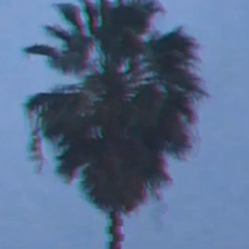doc.13