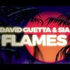 David Guetta amp Sia - Flames David Guetta amp Sia - Flames