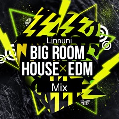 Big Room House X EDM Mix