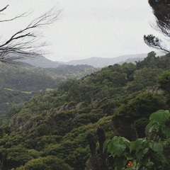 In My Winter Coat (lofi version)