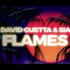 David Guetta amp Sia - Flames David Guetta amp Sia - Flames