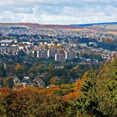 The Hill