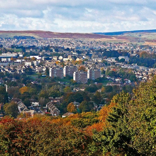 The Hill