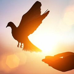 vogel meditatie tuin