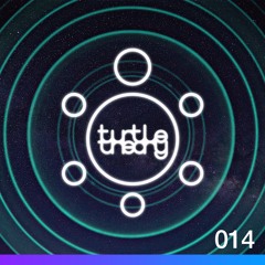 turtletheory - [014]