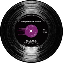Fat Frog ft Singer Tempa - Slip & Slide/Slide Into The Dub