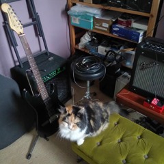 Birthday Path ft Billy Martin