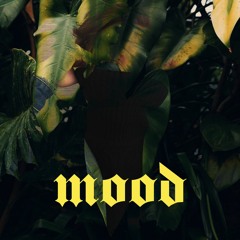 Evcrylipt  - Mood [ Prod. Cash Money AP ]
