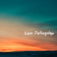 Dont You Worry Child - Sam Pellegrino