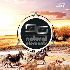 Andor Gabriel - Natural Elements - Episode 57