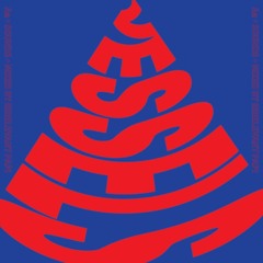 VESSELS - MIXED BY IRRELEVANT PAPI