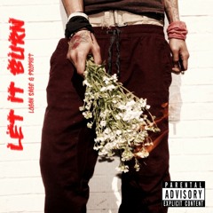 Let It Burn - Prophet & Logan Sage