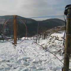 Krems (Radio wave portrait) Extract