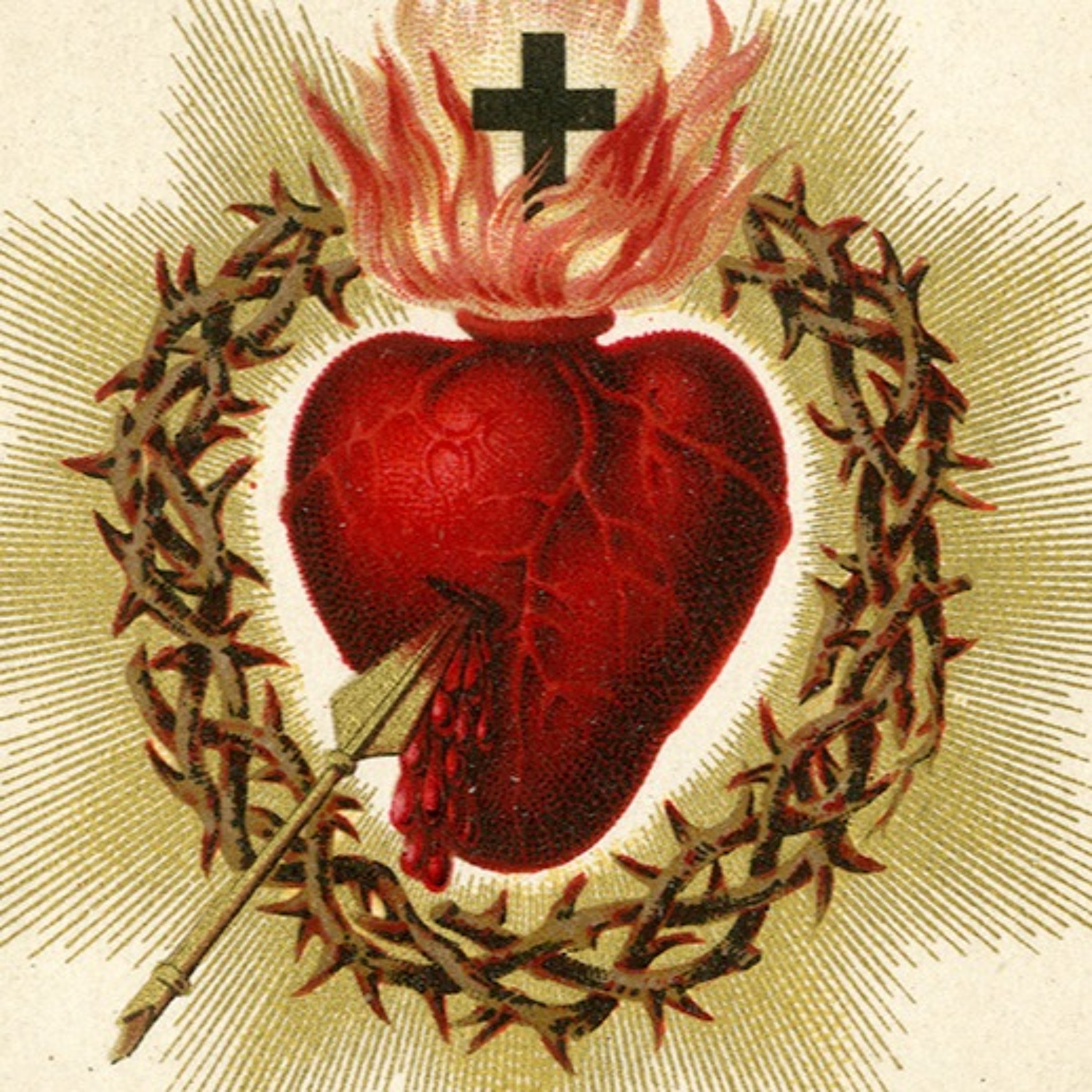 Lent: Why The Cross - Homily for March 25