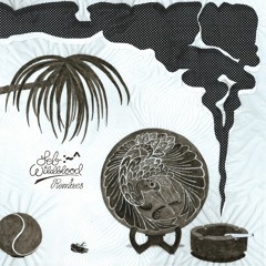 Seb Wildblood - The One With The Remixes (OMR001)