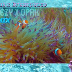 Flume X Greenpeace (WEEZY Remix)