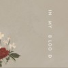 Shawn Mendes In My Blood Mp3