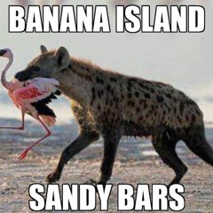 Sandybars
