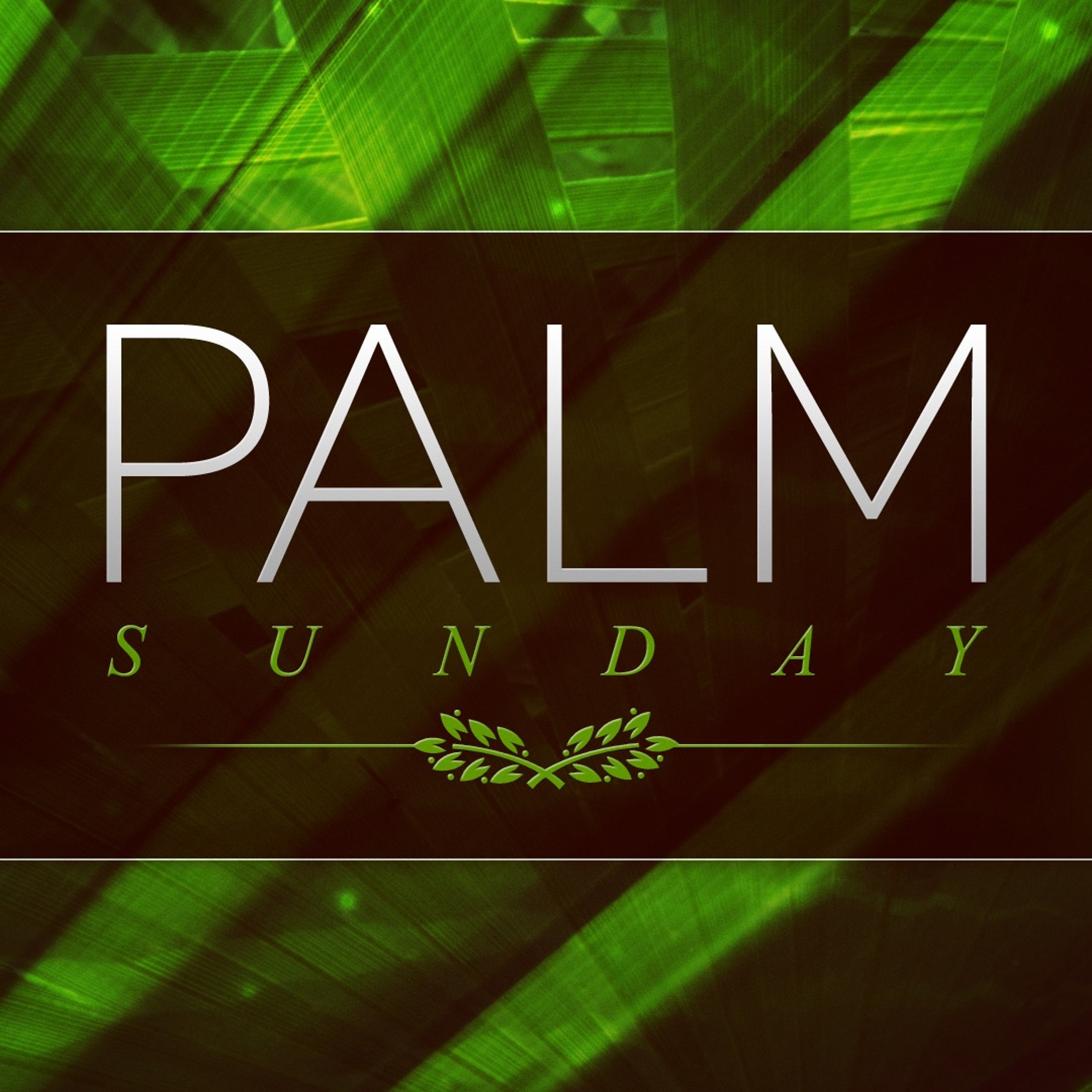 3 - 25 - 18  Palm Sunday To The Cross episode artwork