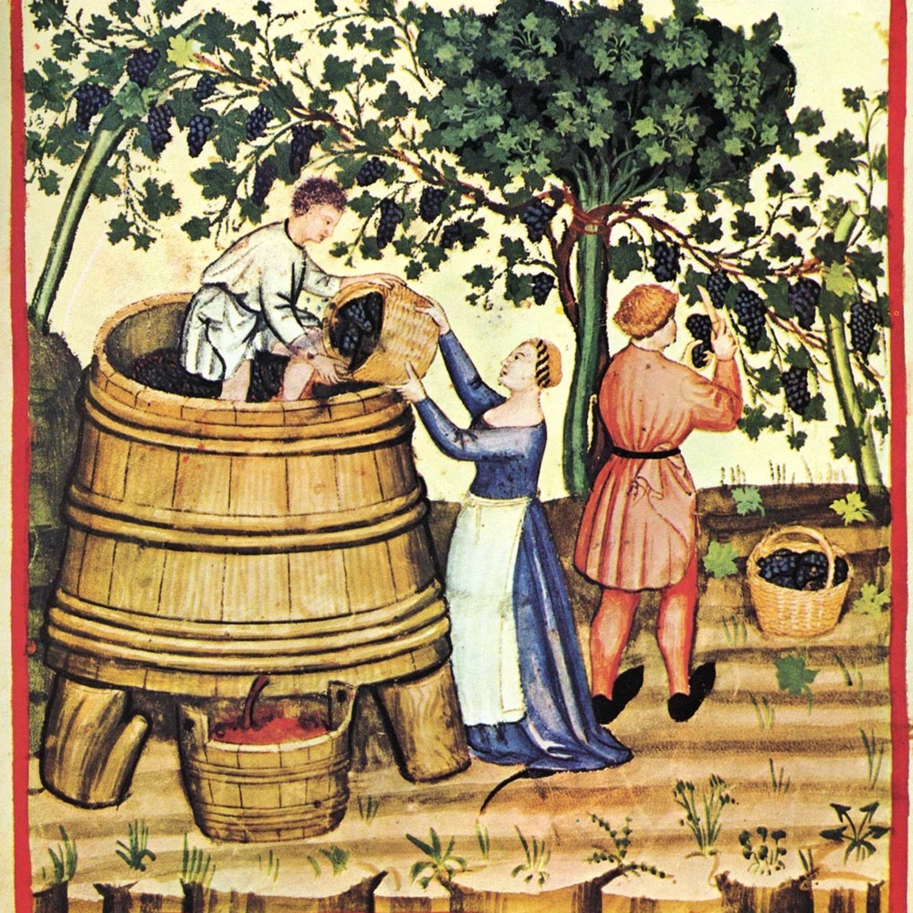 História do Vinho episode artwork