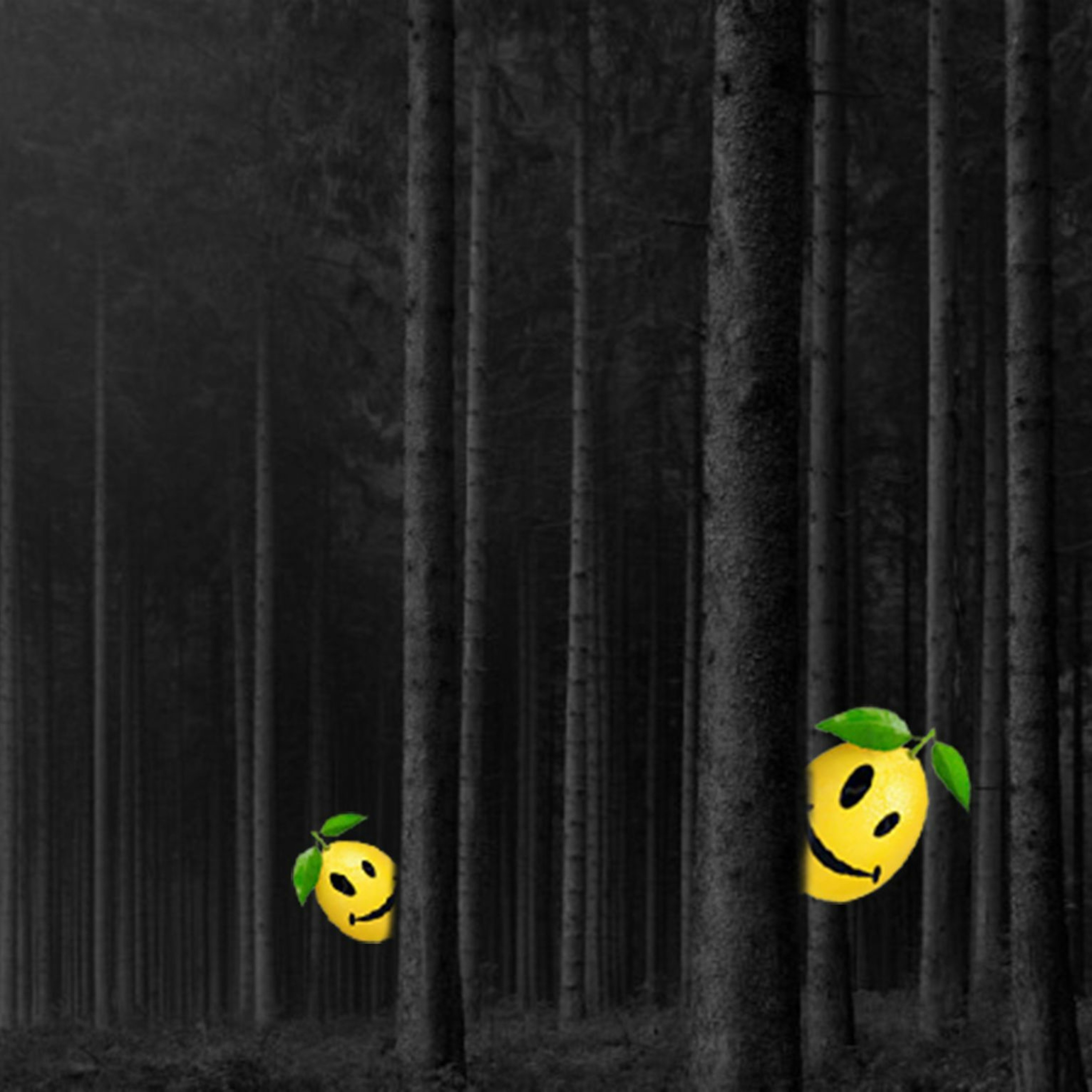 DiidoO    °_° techno ect...°_°