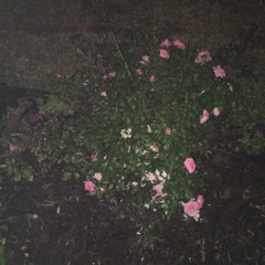 Honeybun Prod. Dyl Pickle