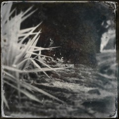 ##59  - 2 13 17, 12.03 PM 1