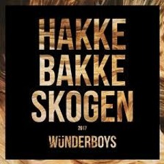 Hakkebakkeskogen 2017 - Wünderboys