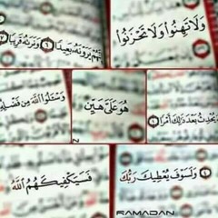 سورة الحاقة - قراءة عراقية - للقارئ عبدالعزيز الزه.mp3