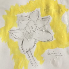 Radio Waves/Dancing In The Winter Snow