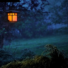 Blue Knight Project - Night