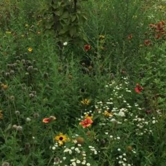 wrong direction. alt