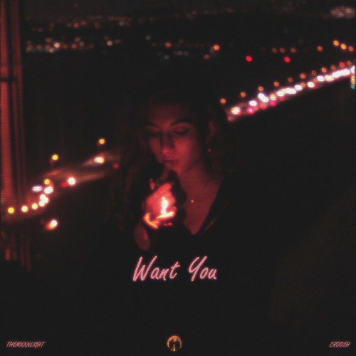 Want You ft. Croosh