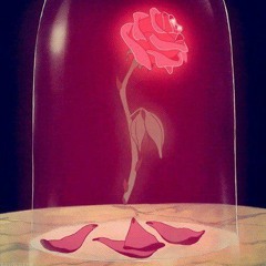 rose thorns - sophie meiers