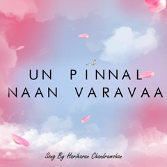Un pinnal naan varavaa