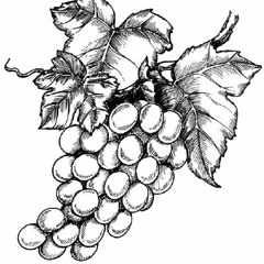 fuckulilgrapedumbbitch