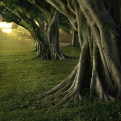 TrapBeat - Veras (Maqueta.Prod.BranKoeloh!