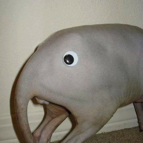 Insomnia Induced Dubstep Mix