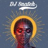 Janelle Monáe Make Me Feel Dj Snatch Rework Mp3