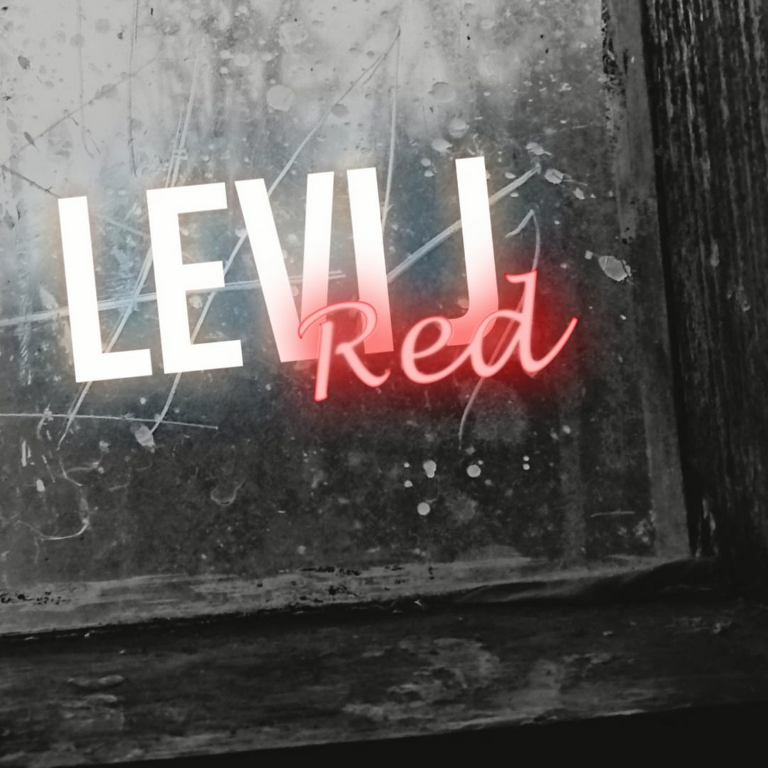 LEVI J