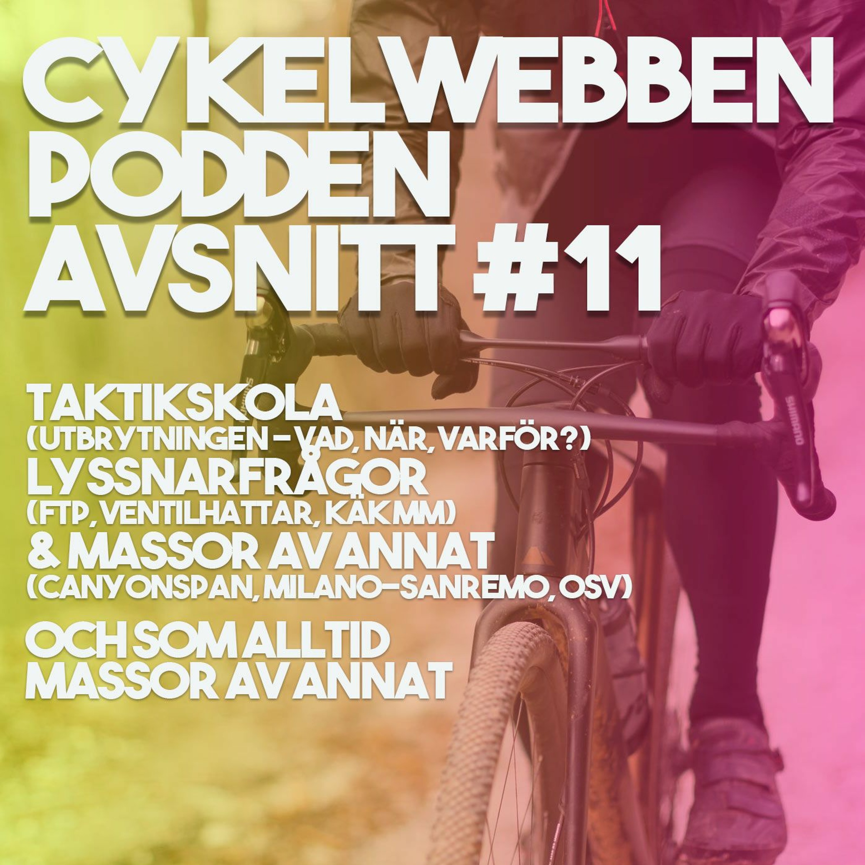 CykelwebbenPodden