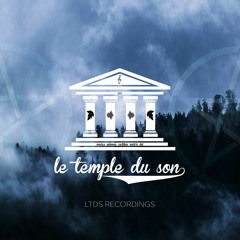 S4LEM - Shaman (PJ Vaz Remix)