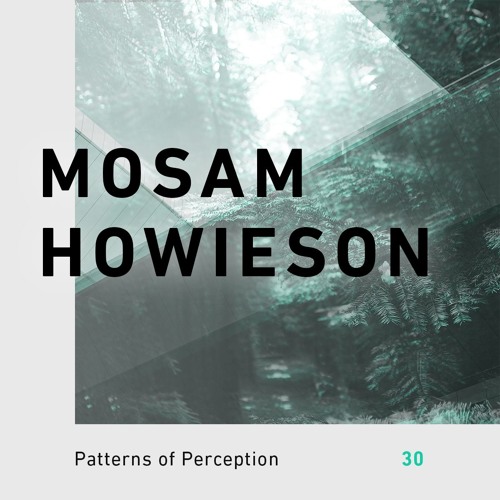 Patterns of Perception 30 - Mosam Howieson