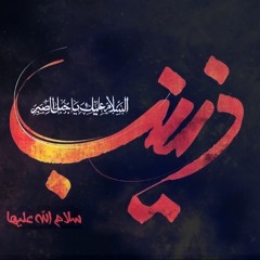 محمد عدنان عبدالوهاب - روح للمشيرة وقل لها - السيدة زينب