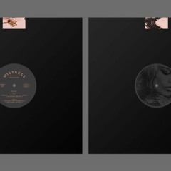 A1 Mike Storm_From The Human Eye To Earth_(Snippet)